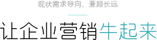 企业网站营销